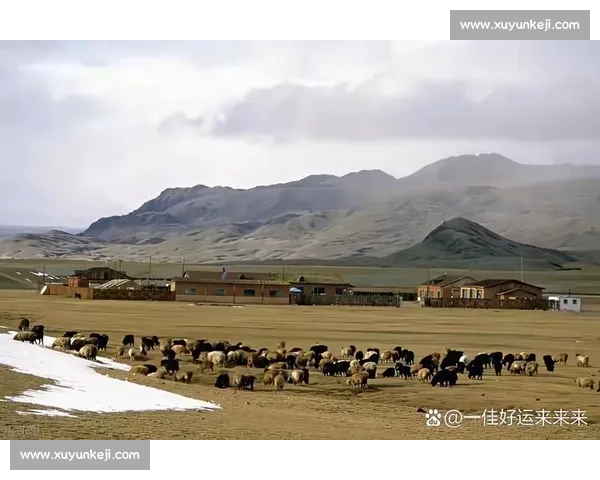 美国与委内瑞拉对比视角下的地缘政治博弈与能源格局深度解析